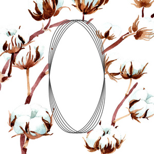 棉花植物花卉。 水彩背景插图集。 框架边框装饰。