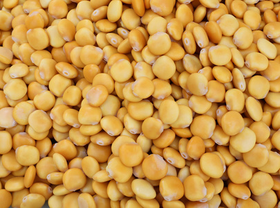 许多黄色的种子,如卢平,称为紫叶或蚕豆,在市场上出售.