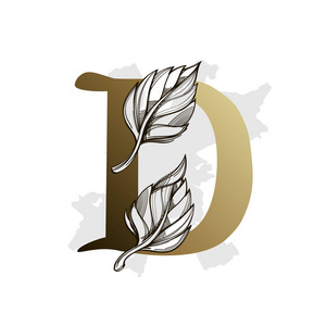 大写字母d.照片