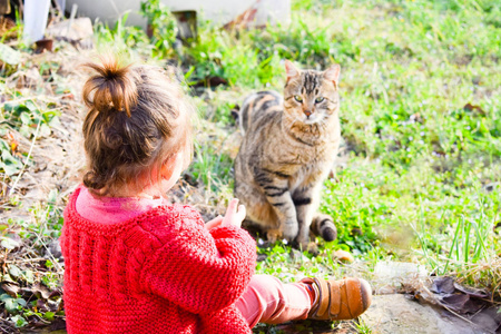 小女孩和猫