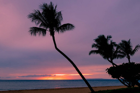 莫伊岛美丽的热带日落
