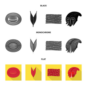 纤维和肌肉图标的矢量插图。纤维和身体股票向量的集合例证