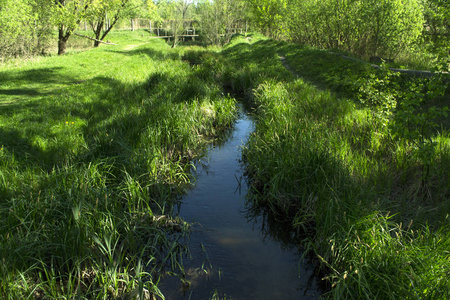 森林中绿色小径上的小溪。