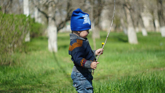 可爱有趣的孩子站在公园的草坪上，拿着棍子和蒲公英。