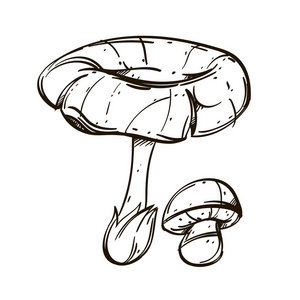 毒蘑菇简笔画有毒图片