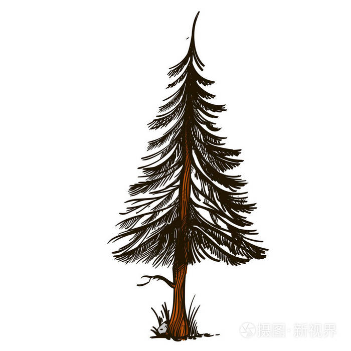 杉树在手绘素描风格游戏设计和动画的景观元素在白色背景上隔离的矢量