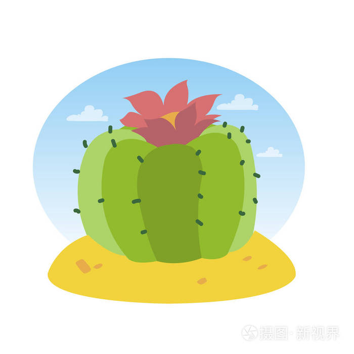 沙漠中的仙人掌. 在白色背景上隔离的矢量插图.