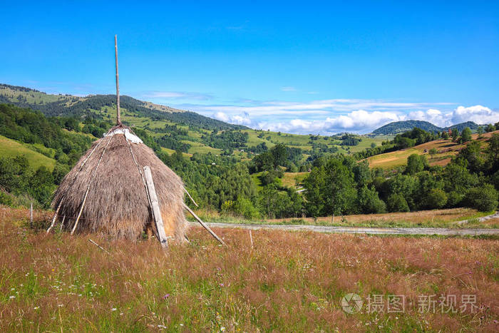 美丽的乡村景观,有森林的小山和干草堆在一个草的乡村田野在山上.
