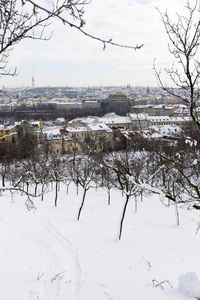 捷克共和国彼得林山雪布城图片
