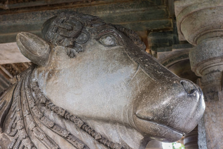 印度卡纳塔克邦Halebidu2013年11月2日希瓦霍伊萨莱斯瓦拉神庙。 南地公牛头部的特写在南部神殿面对着主要的避难所。 