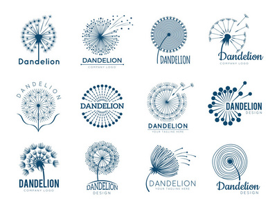 植物蒲公英图片