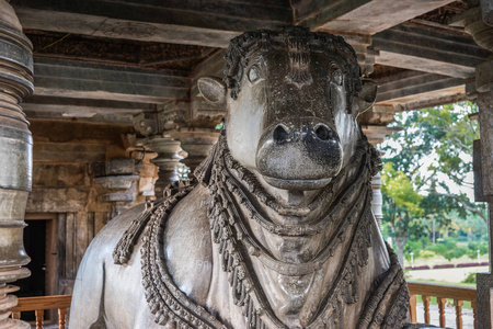 印度卡纳塔克邦Halebidu2013年11月2日希瓦霍伊萨莱斯瓦拉神庙。 正面特写巨大的南迪雕像在自己的曼达帕姆下望向主圣所