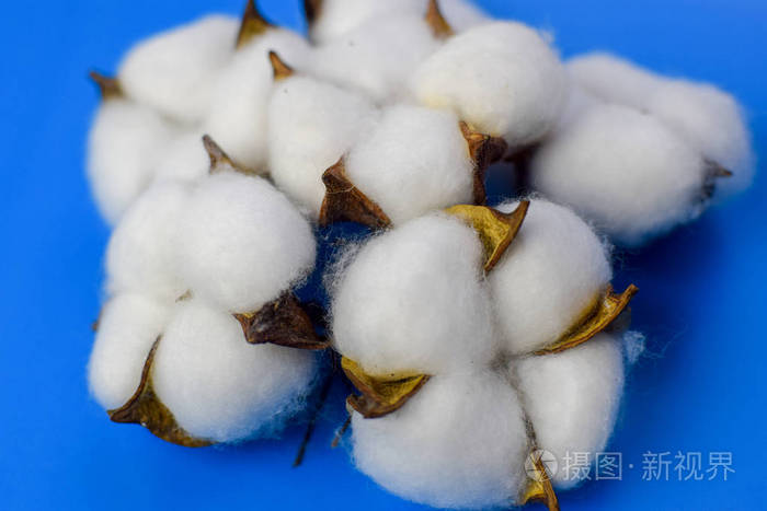 蓝色背景上的五种颜色的棉花