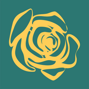 美丽黄绿色玫瑰花美丽的黄绿色图案照片