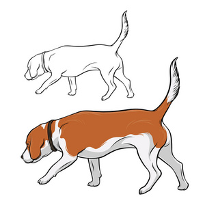 狗嗅嗅图片-狗嗅嗅素材-狗嗅嗅插画-摄图新视界