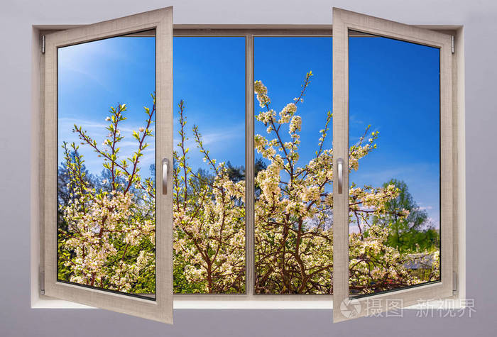 透过敞开的窗户看春天的景色有盛开的水果浆果和蓝天