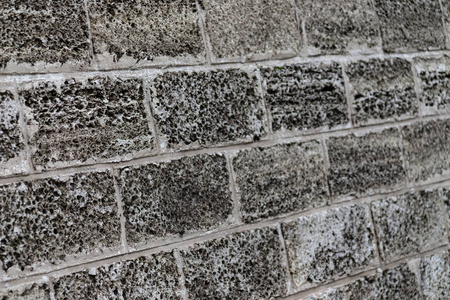 贝壳岩壁纹理。 柯基纳石头背景。