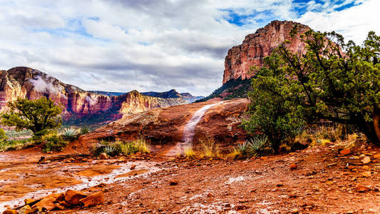 s Coconino National Forest, USA