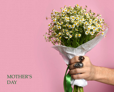 人手拿着洋甘菊花花束为春天3月8日妇女天庆祝照片 正版商用图片18p9sv 摄图新视界