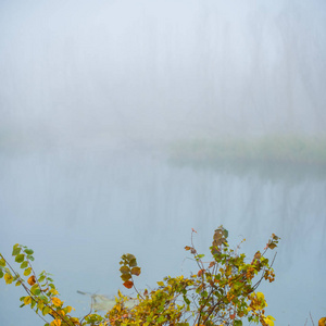 模糊的背景景观植物和雾中的乡村河流