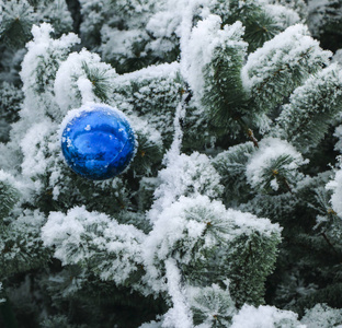 圣诞蓬松的树，装饰着明亮的五颜六色的球，在严寒中覆盖着雪白的霜。