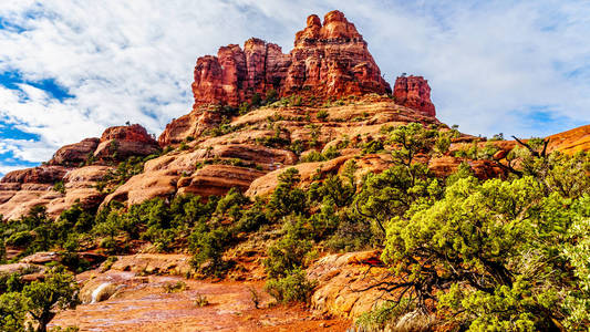 s Coconino National Forest, United States of America