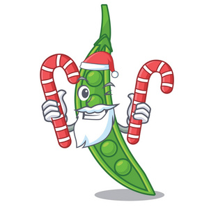 圣诞老人用糖果雪豌豆分离了人物矢量插图
