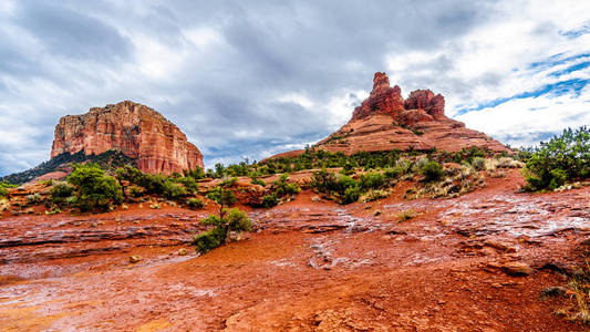 s Coconino National Forest, USA