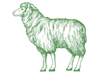 羊。复古风格的经典插图牛排屋, 菜单, 套餐