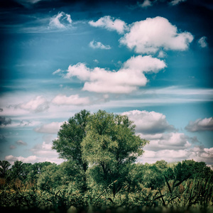 乡村风景云和绿树晴天