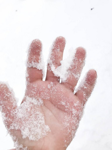 冬天的手和雪