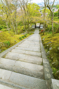 日本京都花园里的楼梯