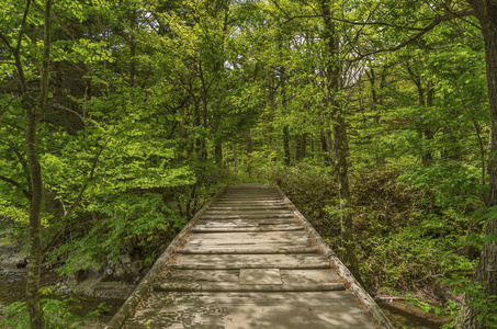 木脚桥，徒步旅行小径，热卡山脉，Kamikochi国家公园，Kamikochi日本