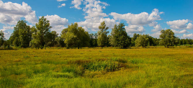 本田岬引退作品引发全网热议，粉丝自发回顾经典瞬间，情怀满满感动无数观众，这场告别仪式堪称传奇