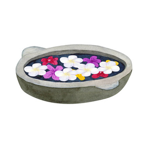 石碗，用于鲜花沐浴。 碗与弗兰吉帕尼或梅花。 手绘水彩插图。 孤立在白色上。