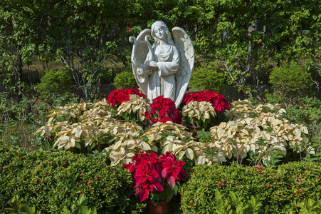 花园中天使的白色大理石雕塑图片