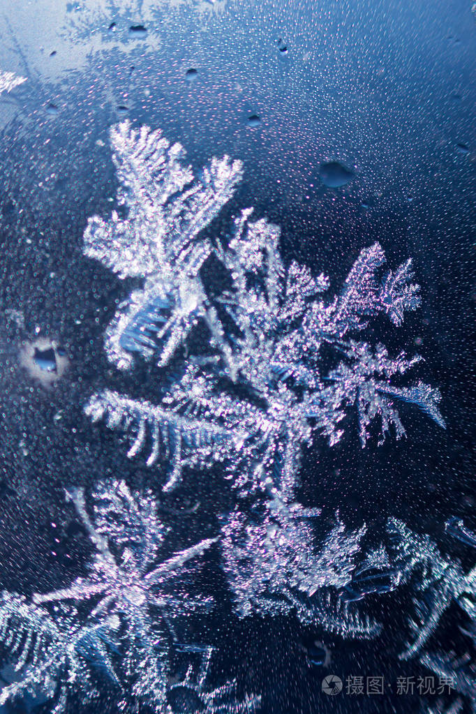 冰冻的玻璃窗上的冰霜自然冬季图案以子的形式出现蓝色背景