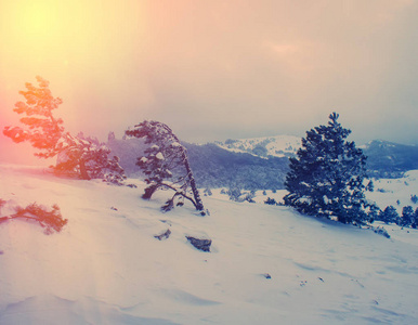 日落山中冬景.