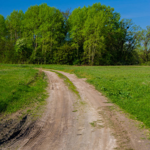 乡村春景泥土路和树林照片