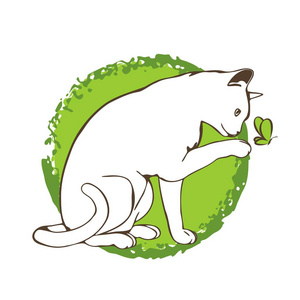 好奇的白猫在绿色背景.可爱的玩猫照片