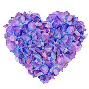 s day, love, valentine, watercolor, hydrangea, spring, heart, fl