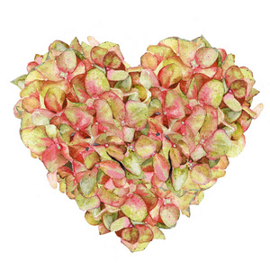 s day, love, valentine, watercolor, hydrangea, spring, heart, fl