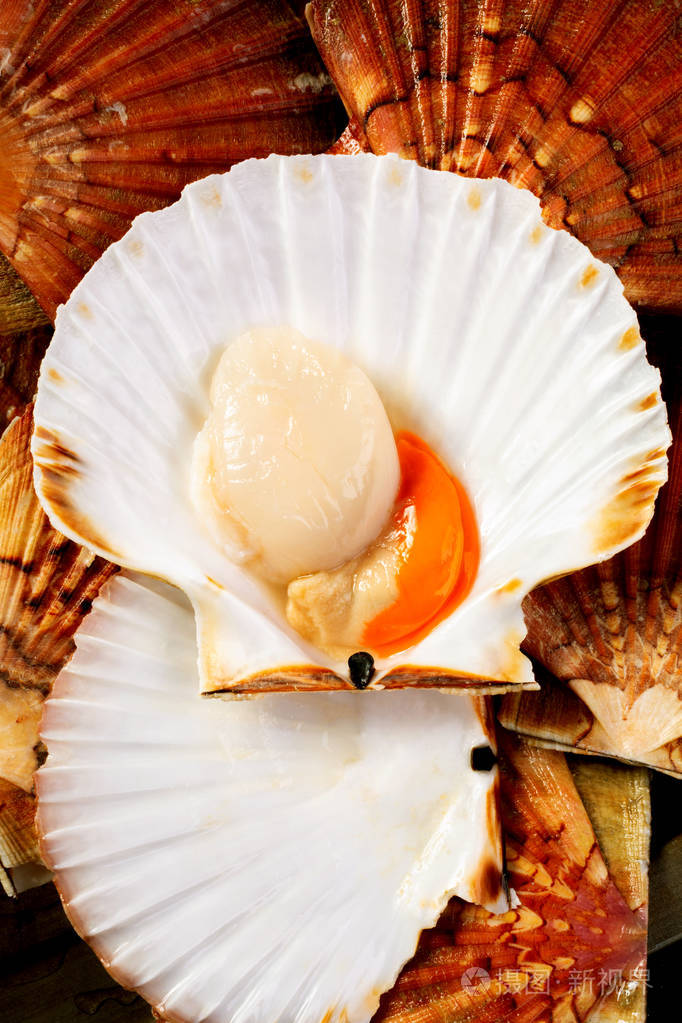 贝壳里有新鲜的大扇贝食物摄影从上面在一个低键