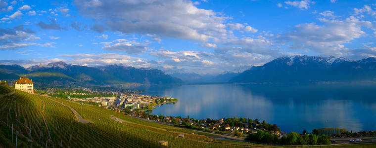 最热门视图到 Vevey 附近的葡萄园在日内瓦湖