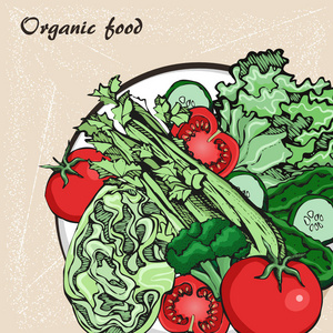 盘子里的矢量蔬菜素描。概念健康食品