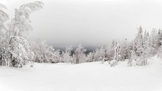 山林上空多云的天空。 斯维尔德洛夫斯克地区。 俄罗斯。