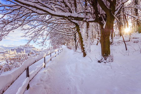 萨尔茨堡白雪皑皑的冬季景观散步长廊