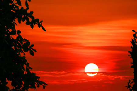 夕阳和五彩缤纷的火焰云剪影树在深红的天空上