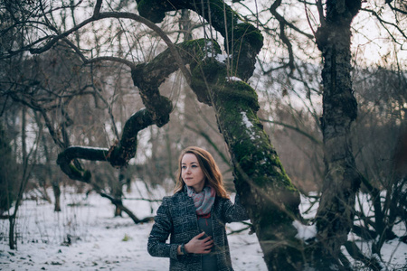 一个年轻的女人在冬天的公园里散步。 冬天的美丽女孩独自走在树间