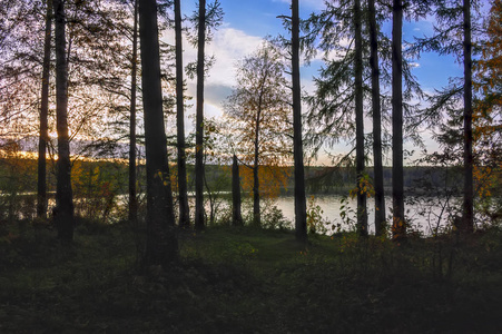 秋天的风景日落在湖边的森林里